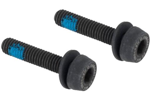 CAMPAGNOLO Schrauben für hinteren Bremssattel, 