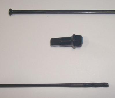 CAMPAGNOLO BORA WTO 60  Speiche, schwarz, 250 mm