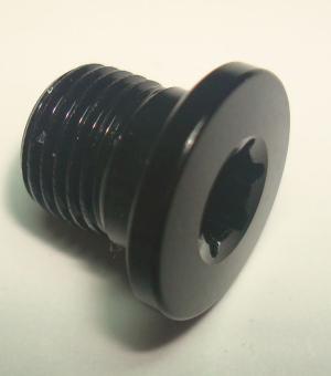 CAMPAGNOLO Kettenblattschraube für Chorus 2020 Kurbeln, 