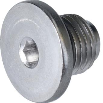 SHIMANO Entlüftungsschraube für ST-R7170, mit Dichtung 