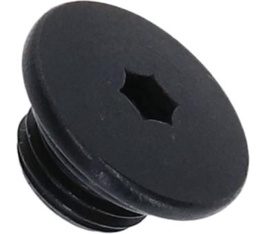 SHIMANO Entlüftungsschraube für ST-R7170, mit Dichtung 