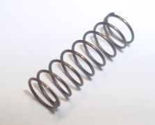 CAMPAGNOLO Feder für Freilauf 