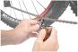 morepic-3