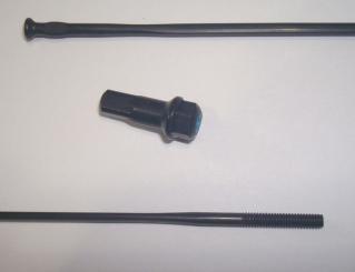 CAMPAGNOLO BORA WTO 60  Speiche, schwarz, 