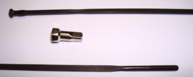 CAMPAGNOLO ZONDA  Speiche, schwarz, 