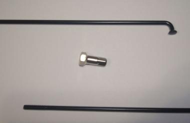 CAMPAGNOLO CALIMA  Speiche, schwarz, 