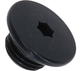 SHIMANO Entlüftungsschraube für ST-R7020, mit Dichtung 