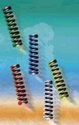 AIRWINGS Feder für Evolution und Tour, 80 mm, 