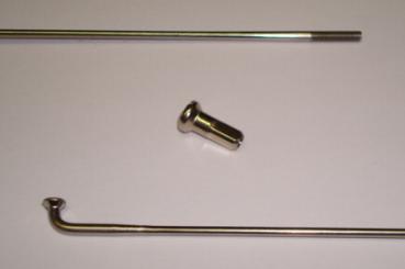 DT REVOLUTION  Speiche, 