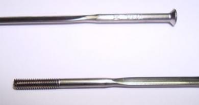 SAPIM CX RAY  Speiche mit geradem Kopf, silber, 