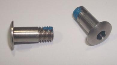 CAMPAGNOLO RECORD  Schalträdchenschrauben `04, Paar 