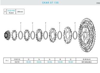 CAMPAGNOLO EKAR GT  Ritzel, 13fach, 